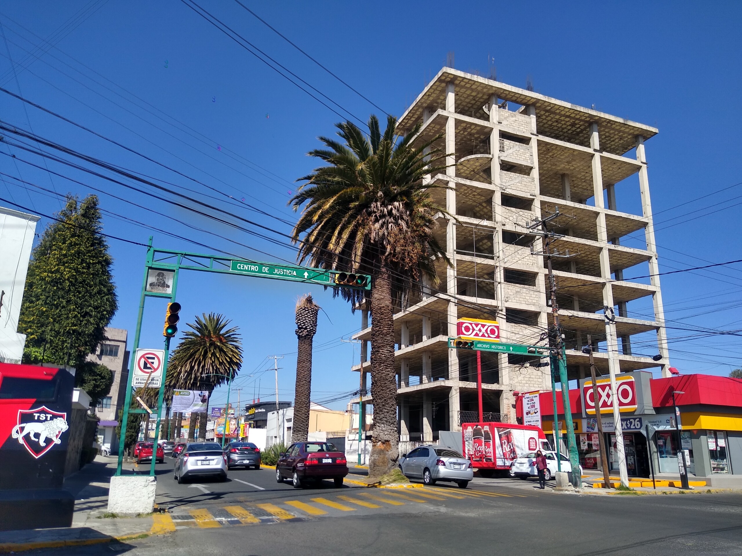 Ayuntamiento de Toluca retirará palmera en avenida Hidalgo. A Tiempo Ayuntamiento de Toluca retirará palmera en avenida Hidalgo. A Tiempo